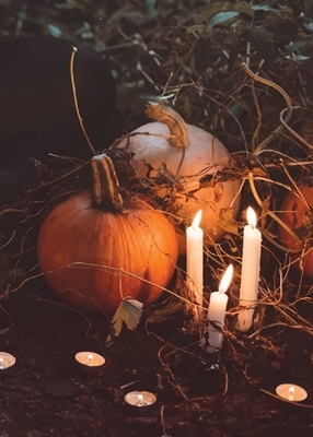 Halloweenské rituály