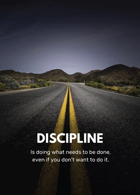 Disciplina