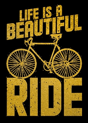 Life Is A Beautiful Ride 
