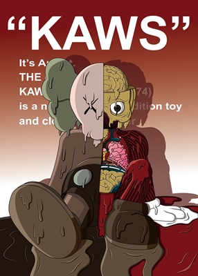 Kaws Kaws