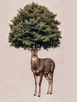 Deer With Tree On Head