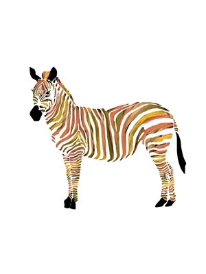 Zebra, du er unik