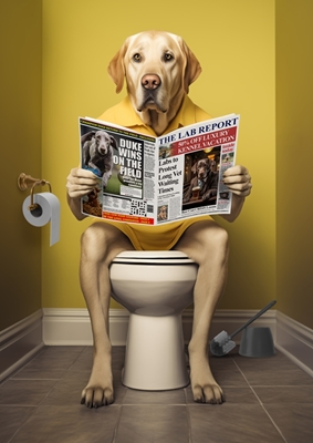 Labrador jaune sur les toilettes