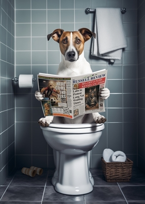 Jack Russell in the Toilet
