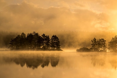 Aamu järven rannalla