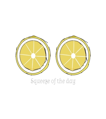 Zwei illustrierte Zitronen