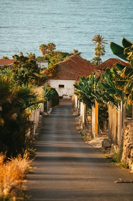 Coastal Road to the Sea