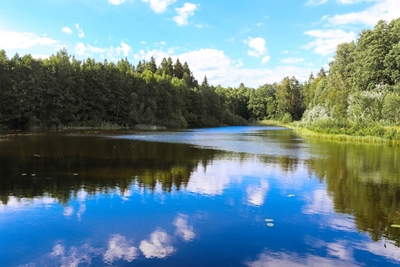 Małe szwedzkie jezioro