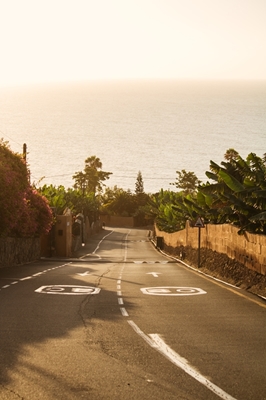 Road to the Ocean