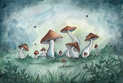 Mushroom forrest 2