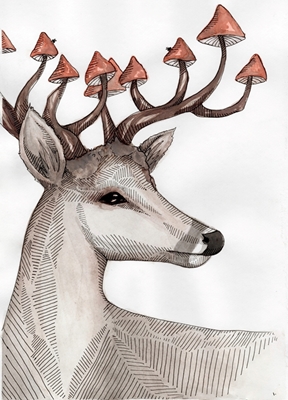 Deer with antlers