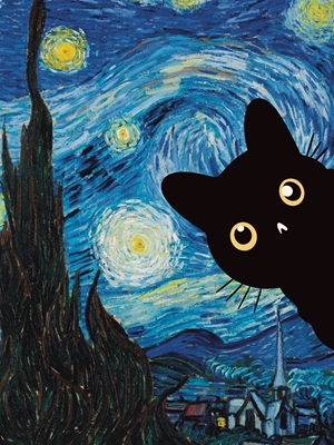 De Kat van de sterrennacht