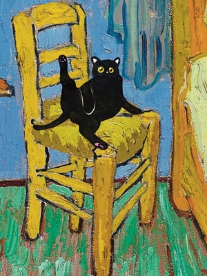 Chat sur une chaise