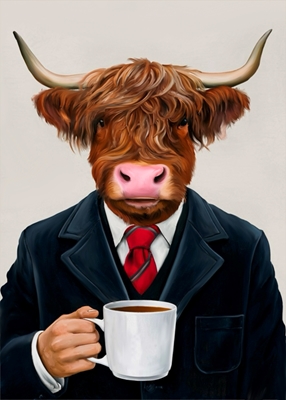 highland cattle and coffee