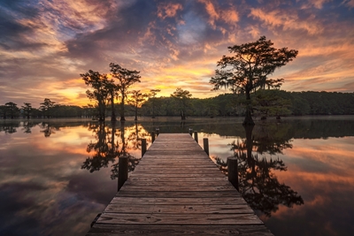 Un pantano al amanecer