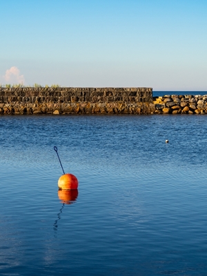 The buoy