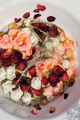 Le plat à la rose