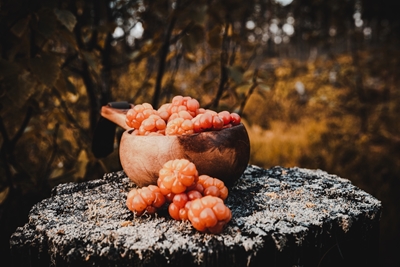 Herbstschatz: Moltebeeren 