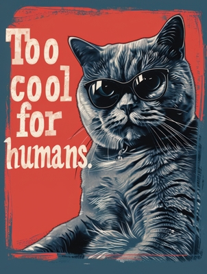 Für coole Katze Poster