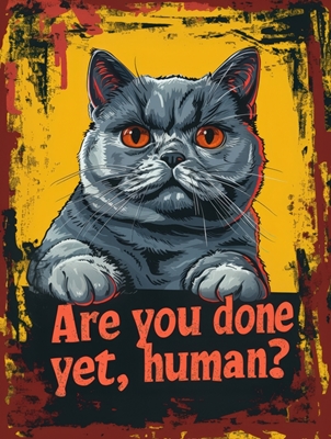 Katt poster - Are you done yet