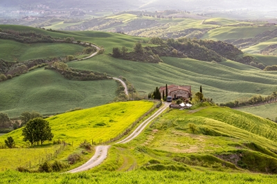 Tuscany landscape