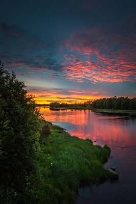 La magie d’une nuit d’été