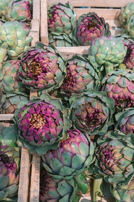 Artichokes France market 