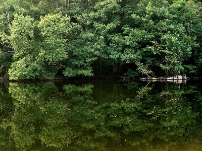 L’équilibre de la nature 