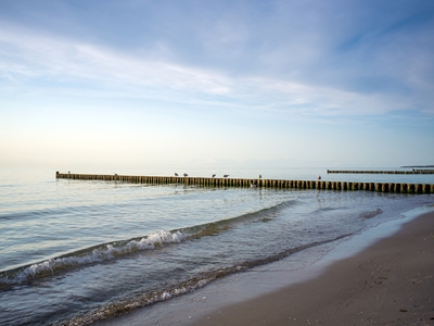 Baltic Sea beach with groynes