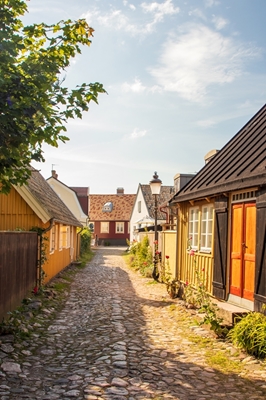 Straat in Torekov