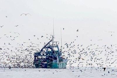 Barca da pesca sull'Atlantico