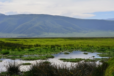 Ngorongoro powiedział: