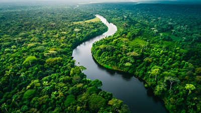 Flygfoto över Amazonfloden