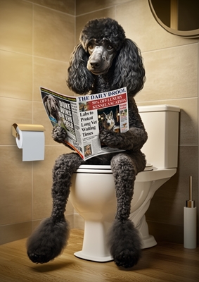 Black Poodle on the Toilet