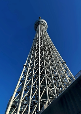 Vue sur la Skytree