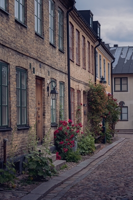 De straatwoningen in Lund