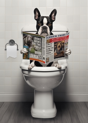 Boston Terrier auf der Toilette