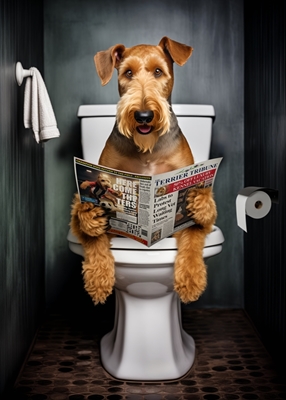 Airedale Terrier auf der Toilette