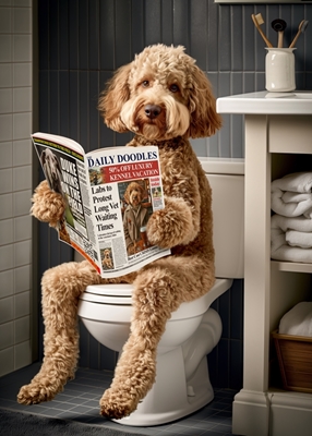 Labradoodle auf der Toilette