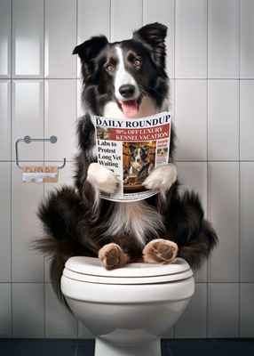 Border Collie auf der Toilette