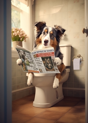 Australian Shepherd on Toilet