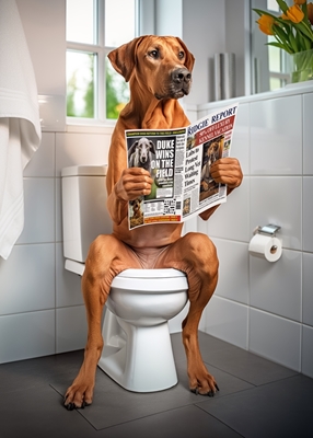 Ridgeback op het toilet