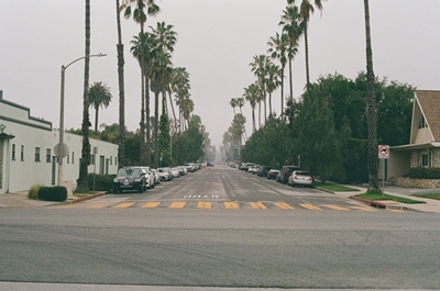 A Misty Los Angeles