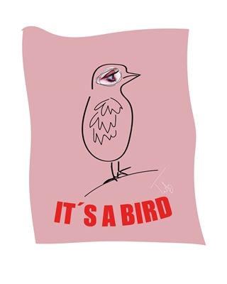 It´s a bird #1