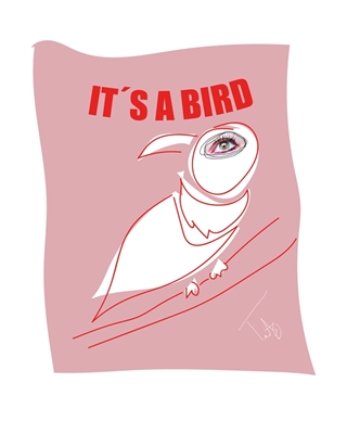 It´s a bird #2