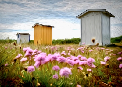 Viken beach flowers