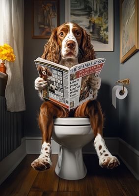 Springer Spaniel on the Toilet