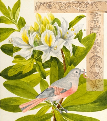 Bird and botany 