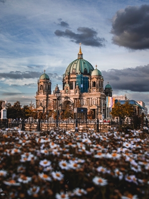 Berlins katedral