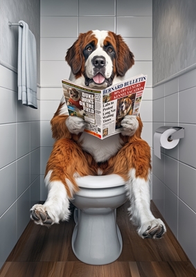 Saint-Bernard sur les toilettes